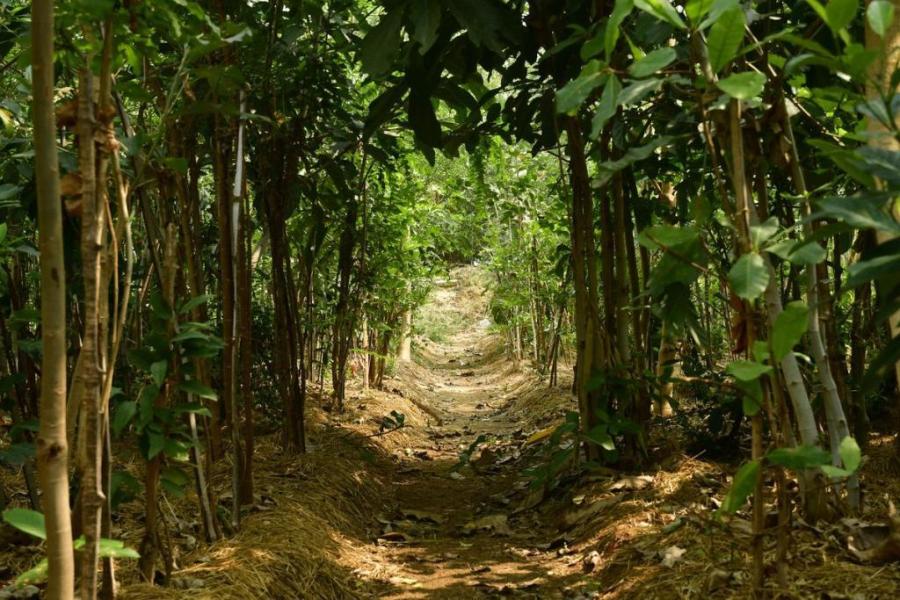 How Maharashtra is Turning Environmental Challenges into Community Strength